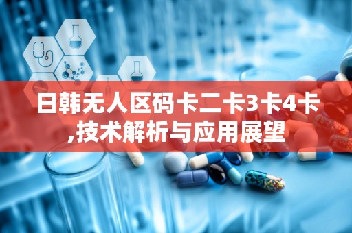 日韩无人区码卡二卡3卡4卡,技术解析与应用展望