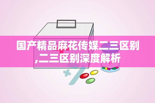 国产精品麻花传媒二三区别,二三区别深度解析