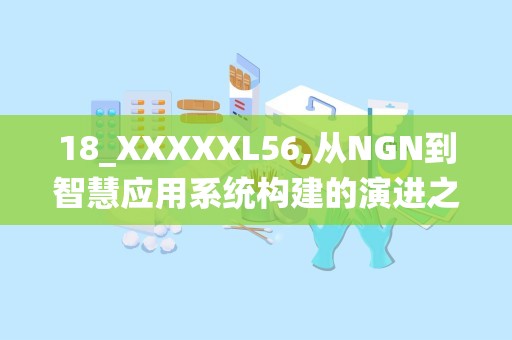 18_XXXXXL56,从NGN到智慧应用系统构建的演进之路