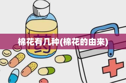 棉花有几种(棉花的由来)