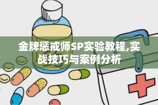 金牌惩戒师SP实验教程,实战技巧与案例分析