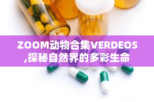 ZOOM动物合集VERDEOS,探秘自然界的多彩生命