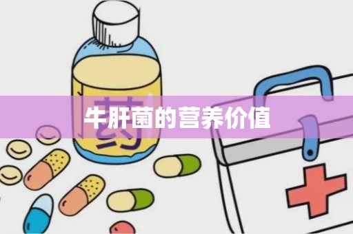 牛肝菌的营养价值