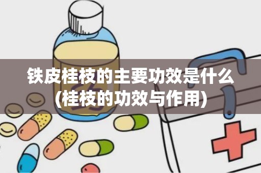 铁皮桂枝的主要功效是什么(桂枝的功效与作用)