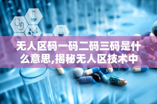 无人区码一码二码三码是什么意思,揭秘无人区技术中的识别与控制奥秘