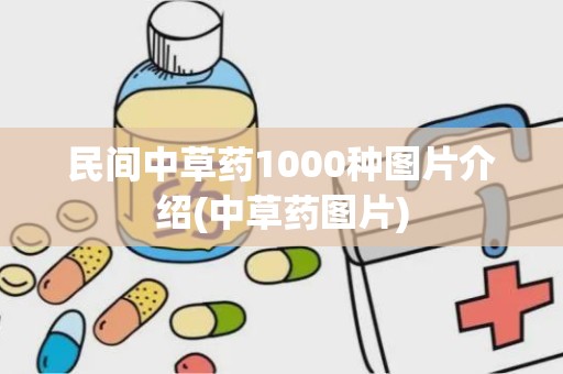 民间中草药1000种图片介绍(中草药图片)