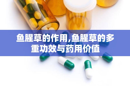 鱼腥草的作用,鱼腥草的多重功效与药用价值