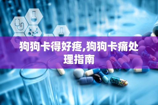 狗狗卡得好疼,狗狗卡痛处理指南