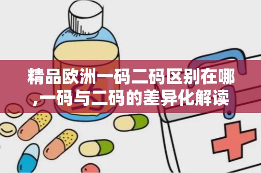 精品欧洲一码二码区别在哪,一码与二码的差异化解读