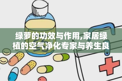 绿萝的功效与作用,家居绿植的空气净化专家与养生良伴