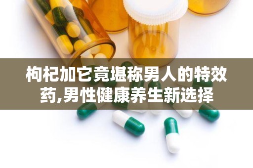 枸杞加它竟堪称男人的特效药,男性健康养生新选择