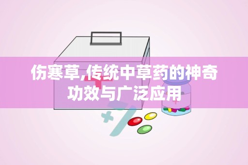 伤寒草,传统中草药的神奇功效与广泛应用