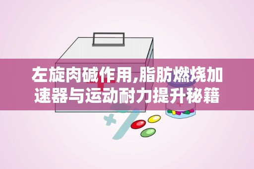左旋肉碱作用,脂肪燃烧加速器与运动耐力提升秘籍
