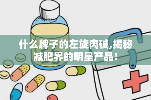 什么牌子的左旋肉碱,揭秘减肥界的明星产品！