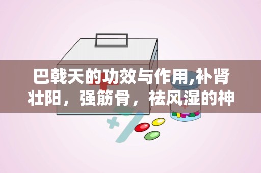 巴戟天的功效与作用,补肾壮阳，强筋骨，祛风湿的神奇草药