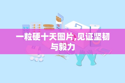 一粒硬十天图片,见证坚韧与毅力
