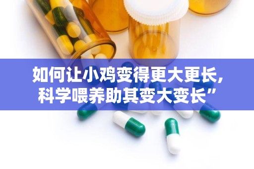 如何让小鸡变得更大更长,科学喂养助其变大变长”