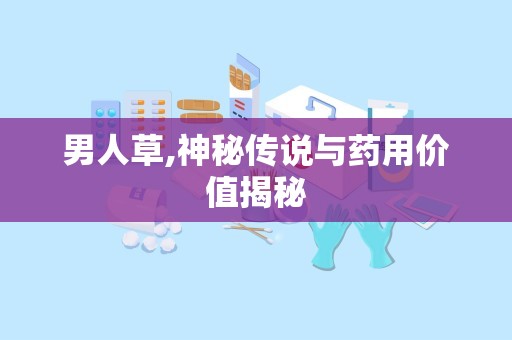 男人草,神秘传说与药用价值揭秘