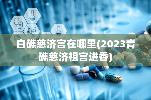 白礁慈济宫在哪里(2023青礁慈济祖宫进香)