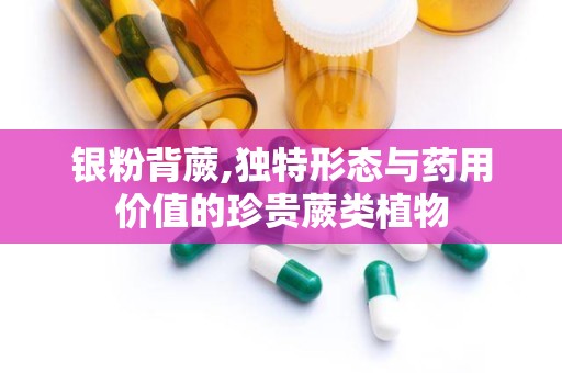银粉背蕨,独特形态与药用价值的珍贵蕨类植物