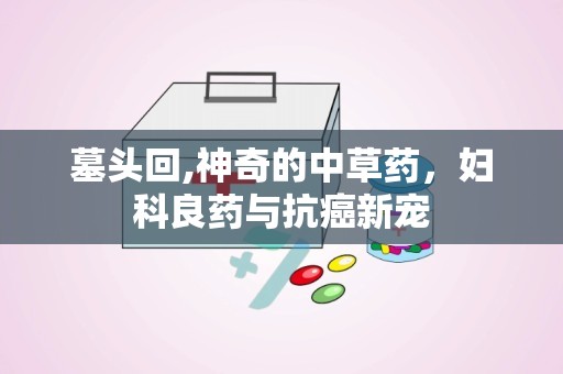 墓头回,神奇的中草药，妇科良药与抗癌新宠