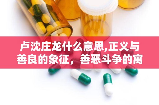 卢沈庄龙什么意思,正义与善良的象征，善恶斗争的寓言启示