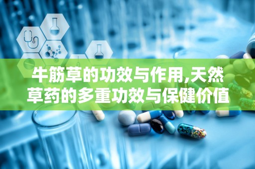 牛筋草的功效与作用,天然草药的多重功效与保健价值