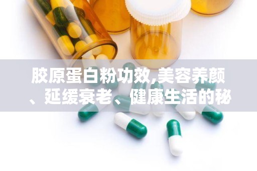 胶原蛋白粉功效,美容养颜、延缓衰老、健康生活的秘密武器”