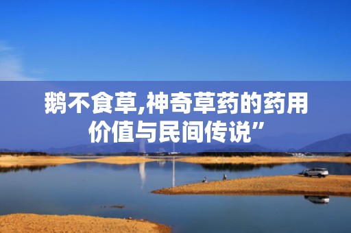 鹅不食草,神奇草药的药用价值与民间传说”