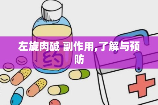左旋肉碱 副作用,了解与预防