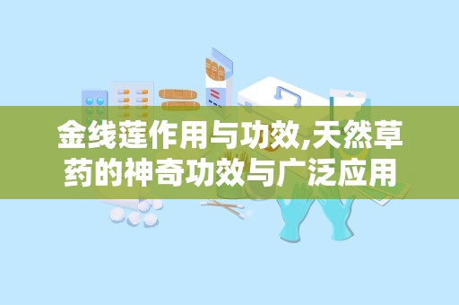 金线莲作用与功效,天然草药的神奇功效与广泛应用
