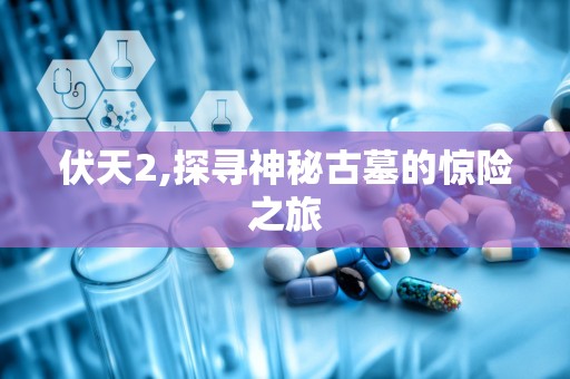伏天2,探寻神秘古墓的惊险之旅