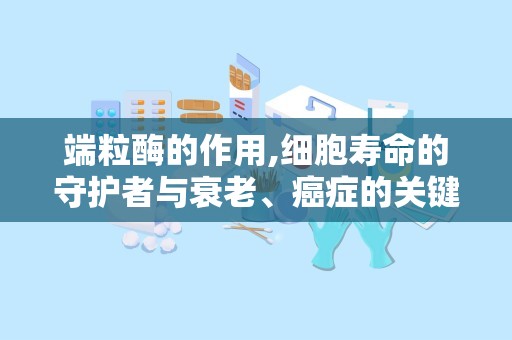 端粒酶的作用,细胞寿命的守护者与衰老、癌症的关键调控因子