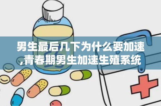 男生最后几下为什么要加速,青春期男生加速生殖系统发育的原因与表现