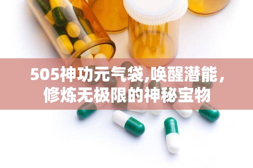 505神功元气袋,唤醒潜能，修炼无极限的神秘宝物