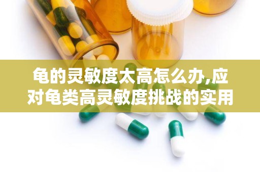 龟的灵敏度太高怎么办,应对龟类高灵敏度挑战的实用策略