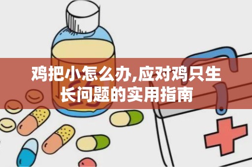 鸡把小怎么办,应对鸡只生长问题的实用指南