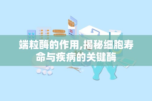 端粒酶的作用,揭秘细胞寿命与疾病的关键酶