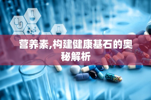 营养素,构建健康基石的奥秘解析