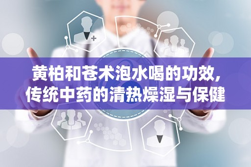 黄柏和苍术泡水喝的功效,传统中药的清热燥湿与保健功效