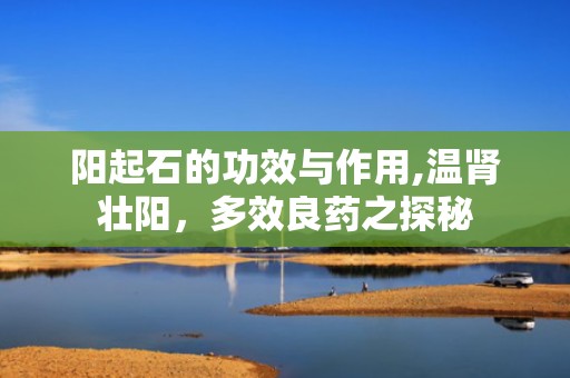阳起石的功效与作用,温肾壮阳，多效良药之探秘