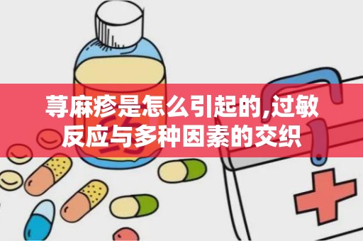 荨麻疹是怎么引起的,过敏反应与多种因素的交织