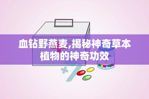 血钻野燕麦,揭秘神奇草本植物的神奇功效
