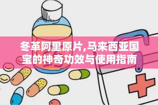 冬革阿里原片,马来西亚国宝的神奇功效与使用指南