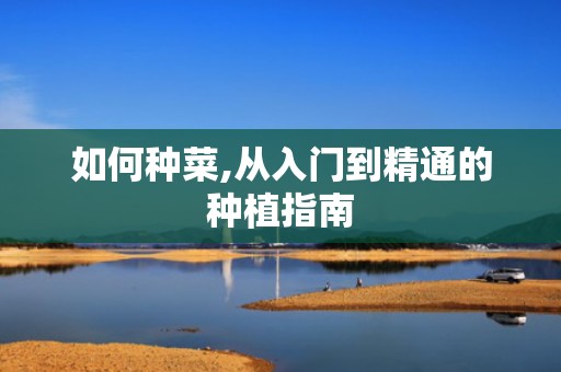 如何种菜,从入门到精通的种植指南