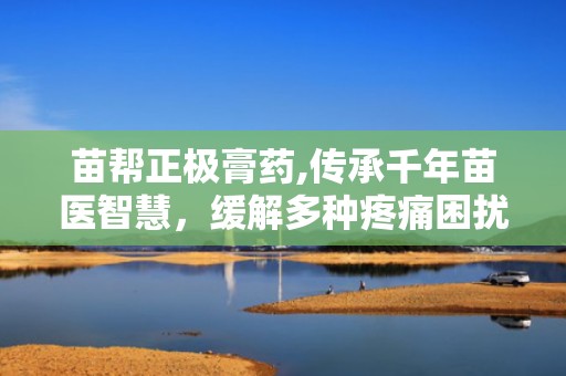 苗帮正极膏药,传承千年苗医智慧，缓解多种疼痛困扰”