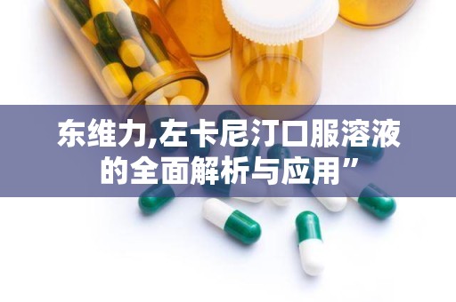 东维力,左卡尼汀口服溶液的全面解析与应用”