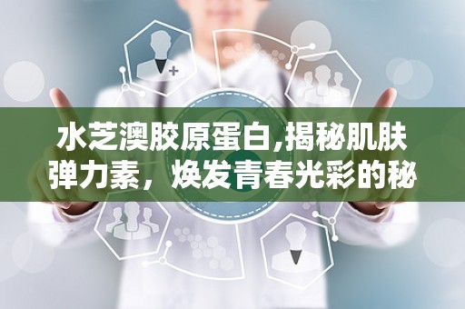 水芝澳胶原蛋白,揭秘肌肤弹力素，焕发青春光彩的秘密武器
