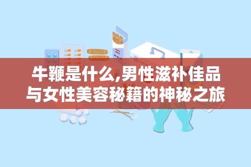 牛鞭是什么,男性滋补佳品与女性美容秘籍的神秘之旅