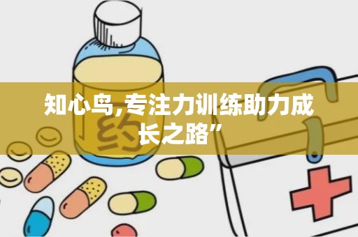知心鸟,专注力训练助力成长之路”